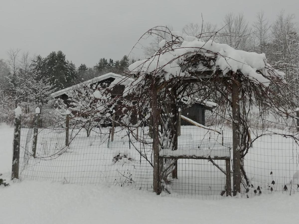 Spacious Country Retreat Close To Town And Nature, Sylvana Farm Vt Montpelier Exterior photo