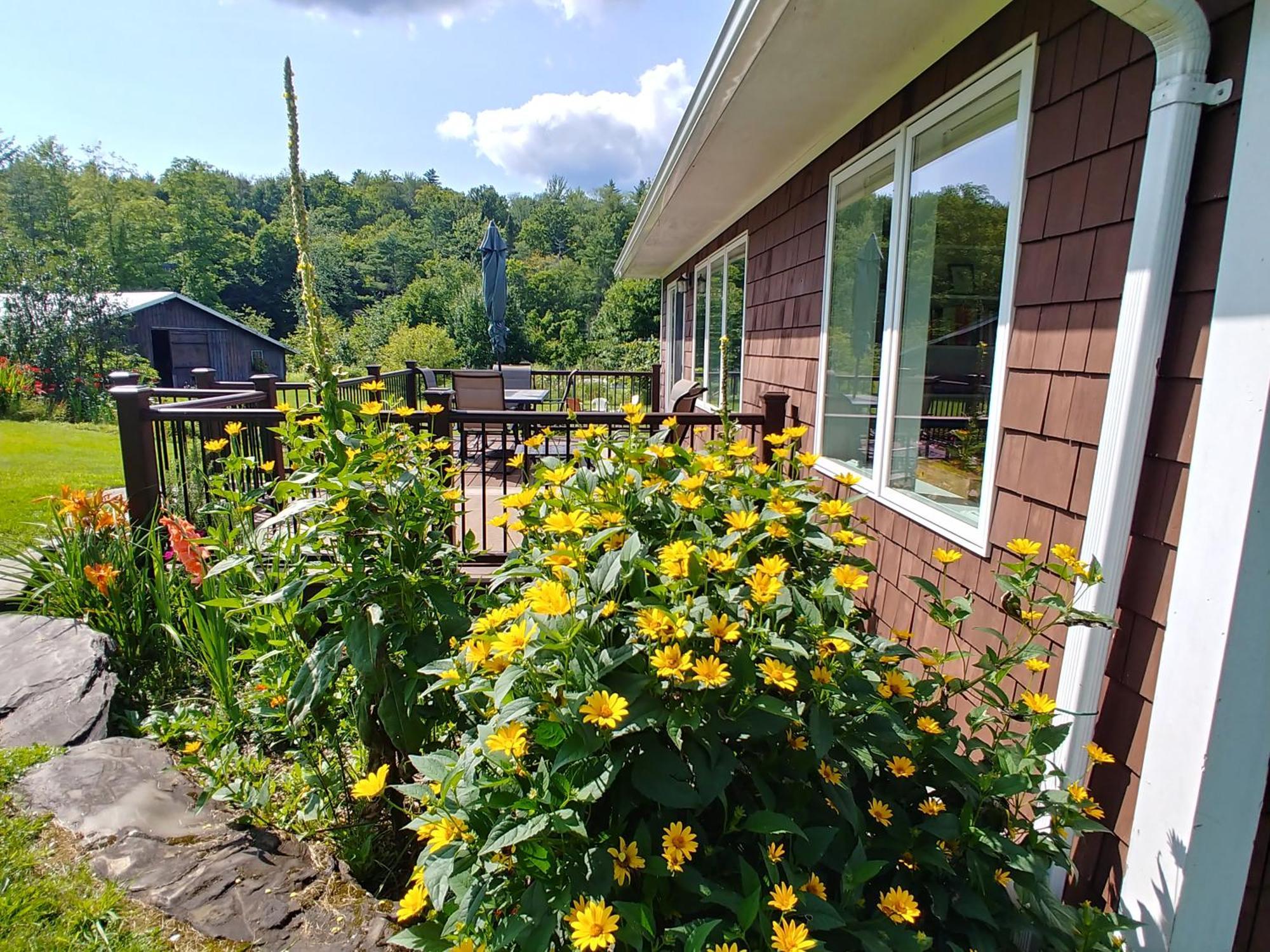 Spacious Country Retreat Close To Town And Nature, Sylvana Farm Vt Montpelier Exterior photo