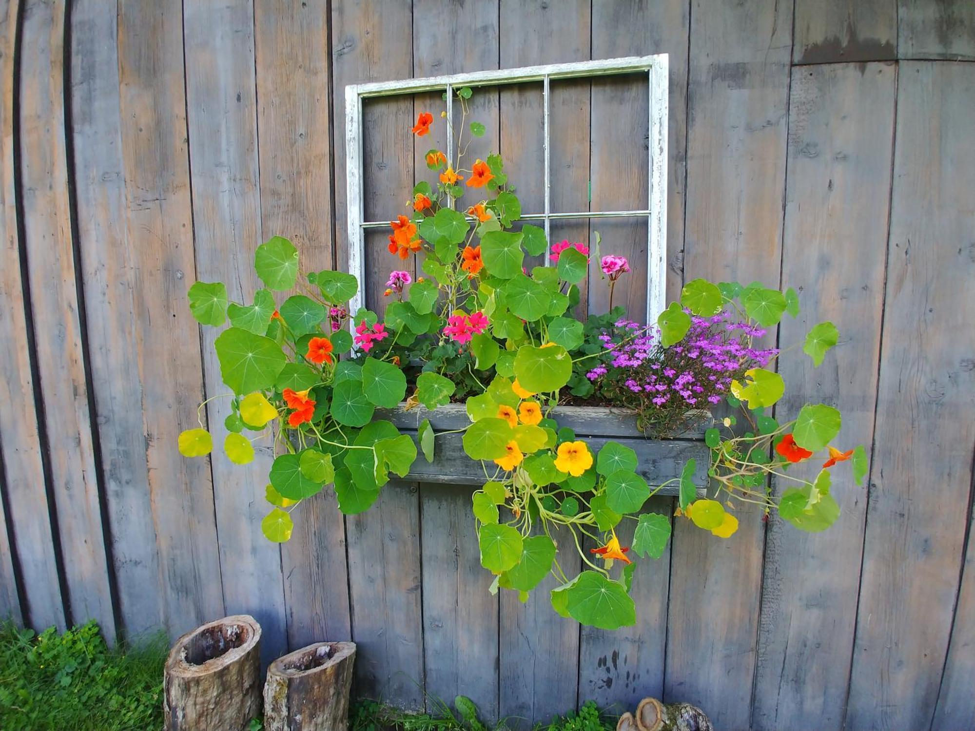 Spacious Country Retreat Close To Town And Nature, Sylvana Farm Vt Montpelier Exterior photo
